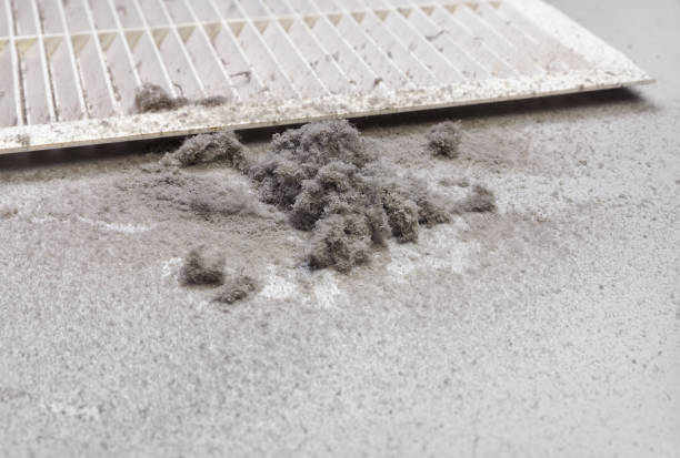 Best Air Duct Mold Removal  in Sanborn, IA